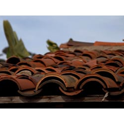 Don Rice Construction