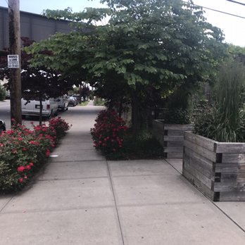 Curtis 50 Cent Jackson Community Garden - Community Gardens Near Me - Queens, New York