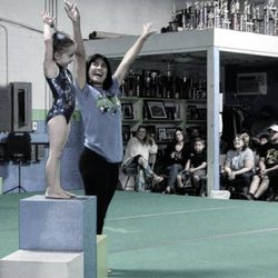 Lee's United Gymnastics Academy
