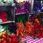 Photo of Deep Roots Farm