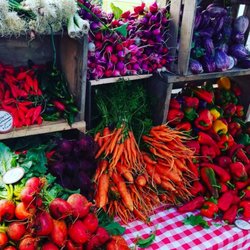 Deep Roots Farm