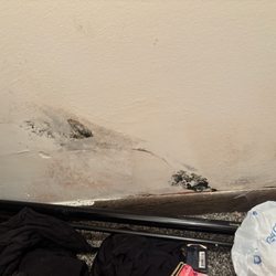 Kouri Management - Black mold in closet