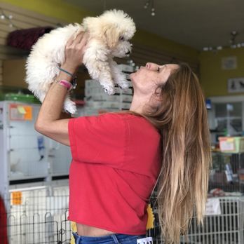 Ooh Puppy - Pet Groomers Near Me - La Mirada, California Ooh Puppy - Pet Groomers Near Me - La Mirada, California