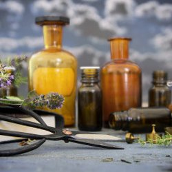 Corner Store Apothecary & More