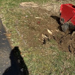 Natura Landscaping - Stumped grinning