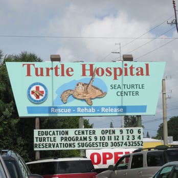 The Turtle Hospital - Veterinarians Near Me - Marathon, Florida The Turtle Hospital - Veterinarians Near Me - Marathon, Florida