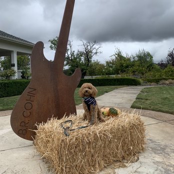 B.R. Cohn Winery - Wineries Near Me - Glen Ellen, California
