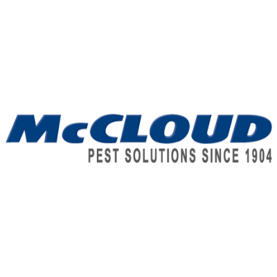 McCloud Services