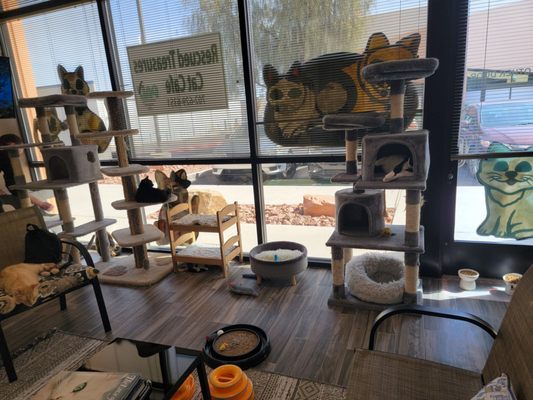 Rescued Treasures Cat Cafe by PALnv by null