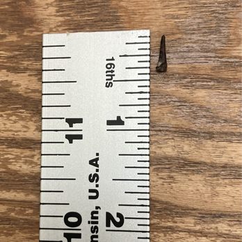 The Cub House - all it takes is one thorn, about 5 centimeters - Sports Wear Near Me - San Marino, California The Cub House - all it takes is one thorn, about 5 centimeters - Sports Wear Near Me - San Marino, California