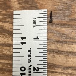 The Cub House - All it takes is one thorn, about 5 centimeters