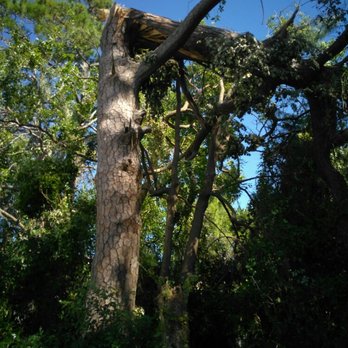 Royal Tree Service And Landscaping - This was tree damage caused by Hurricane Matthew - Tree Services Near Me Royal Tree Service And Landscaping - This was tree damage caused by Hurricane Matthew - Tree Services Near Me