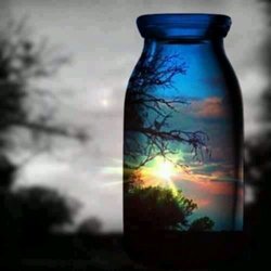 Looking Glass Reflections