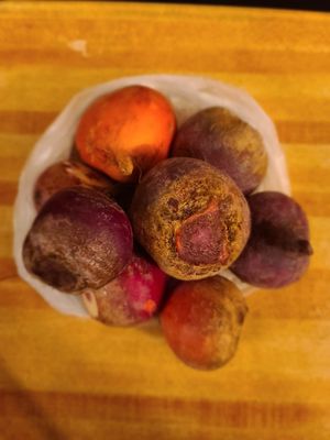 The Chef's Garden by null