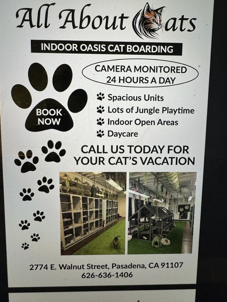 ALL ABOUT CATS Updated September 2024 61 Photos 2774 E Walnut St