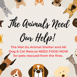 Aurora Dental Care - Please drop cat or dog food or cat litter off at our office. We will match donations up to $1000.00.