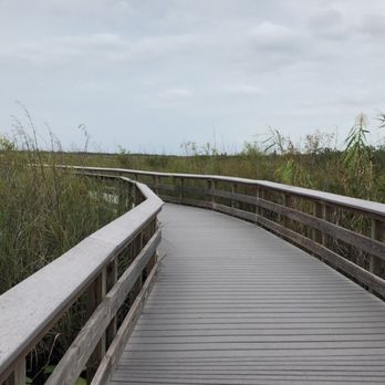 Gumbo Limbo Trail - Hiking Near Me - Homestead, Florida Gumbo Limbo Trail - Hiking Near Me - Homestead, Florida