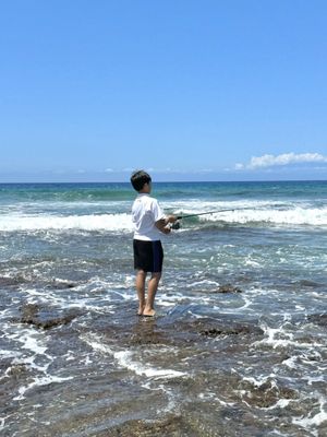 Holoholokai Beach Park Rd by null