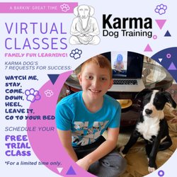 Karma Dog Training - Virtual Classes Family fun learning