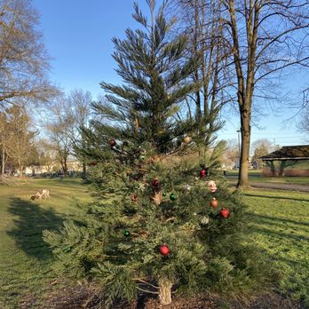 Arbor Lodge Park - Tree with Christmas ornaments in the off-leash section! Fun! - Parks Near Me - Portland, Oregon Arbor Lodge Park - Tree with Christmas ornaments in the off-leash section! Fun! - Parks Near Me - Portland, Oregon