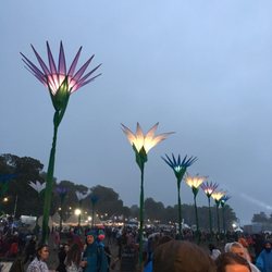 Festival No. 6