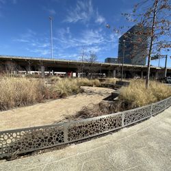 Carpenter Park