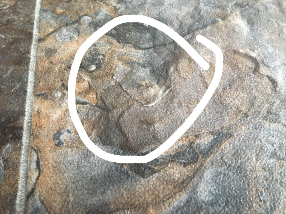 DAVE TAYLOR APPLIANCE REPAIR Updated September 2024 44 Reviews PO