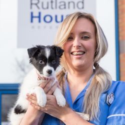 vets for pets woodchurch road