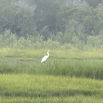 O.C. Bay Hopper - Great Heron - Boat Tours Near Me - Ocean City, Maryland O.C. Bay Hopper - Great Heron - Boat Tours Near Me - Ocean City, Maryland