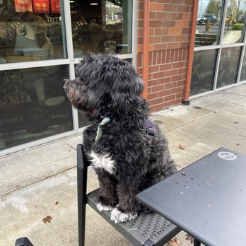 Starbucks - Great outdoor area - Coffee & Tea Near Me - Wilsonville, Oregon Starbucks - Great outdoor area - Coffee & Tea Near Me - Wilsonville, Oregon