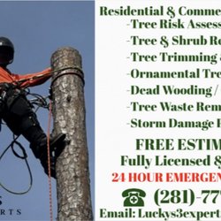 Lucky's Tree Experts - OUR SERVICES