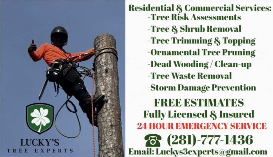 Lucky's Tree Experts - tree service in Jackson, MS