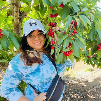 U Pick Orchards - Ranch 1 - Fruits & Veggies Near Me - Morgan Hill, California U Pick Orchards - Ranch 1 - Fruits & Veggies Near Me - Morgan Hill, California