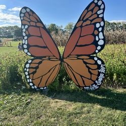 Middle Springs Farm - Photo ops