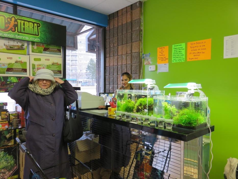 EXOTIC PETS Updated October 2024 28 Photos 4190 Kingston Road