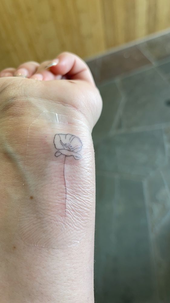 Anomaly Lifestyle Art & Tattoo Logo