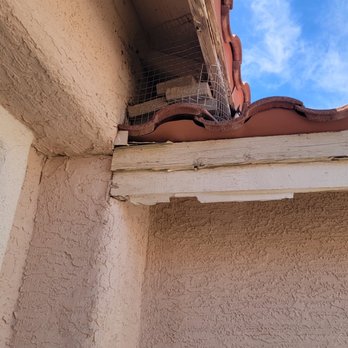 Cole Patrol Pigeon Solutions - Pest Control Near Me