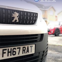 South Coast Pest Control