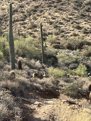 Gateway Trailhead - McDowell Sonoran Preserve by null