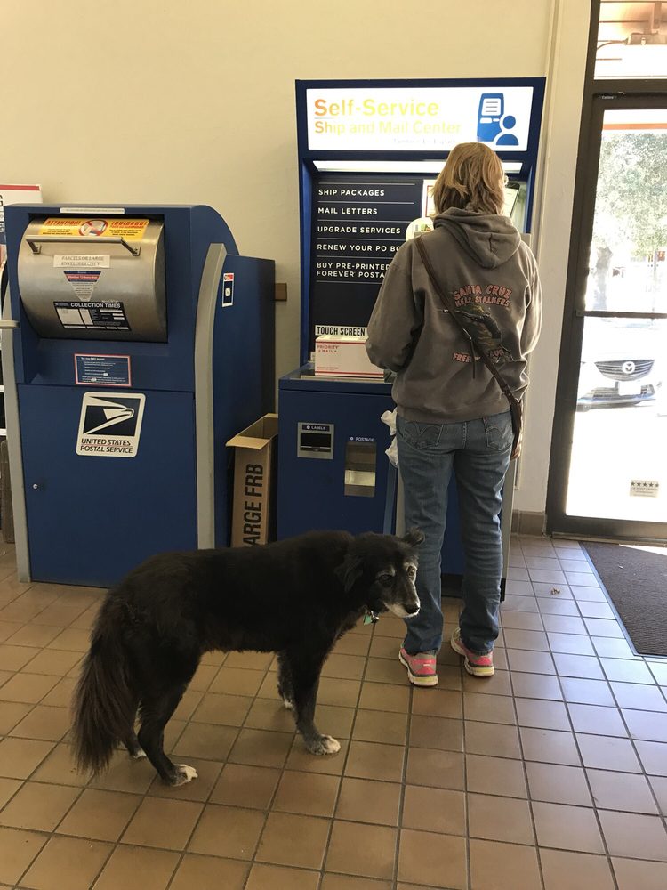 US POST OFFICE Updated August 2024 34 Reviews 500 Cathedral Dr