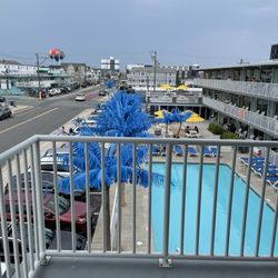 Blue Palms - Pool