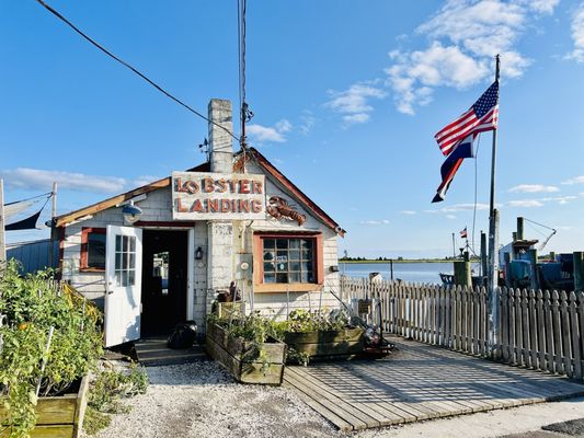 Lobster Landing by null