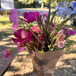 Scott's Orchard - Fresh flowers 10/1/22
