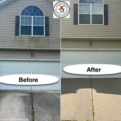 Spruce Moose Pressure Washing