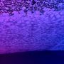 Big Dan's Car Wash