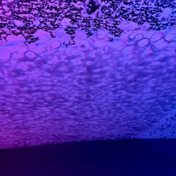 Big Dan's Car Wash