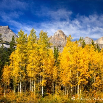 Jasper National Park - Parks Near Me
