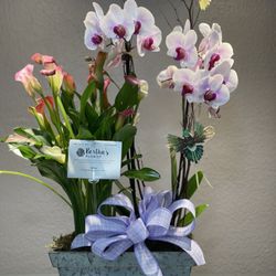 Bertha's Florist
