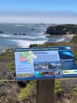 Año Nuevo State Park by null