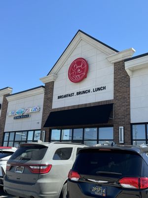 Bread & Roses by null